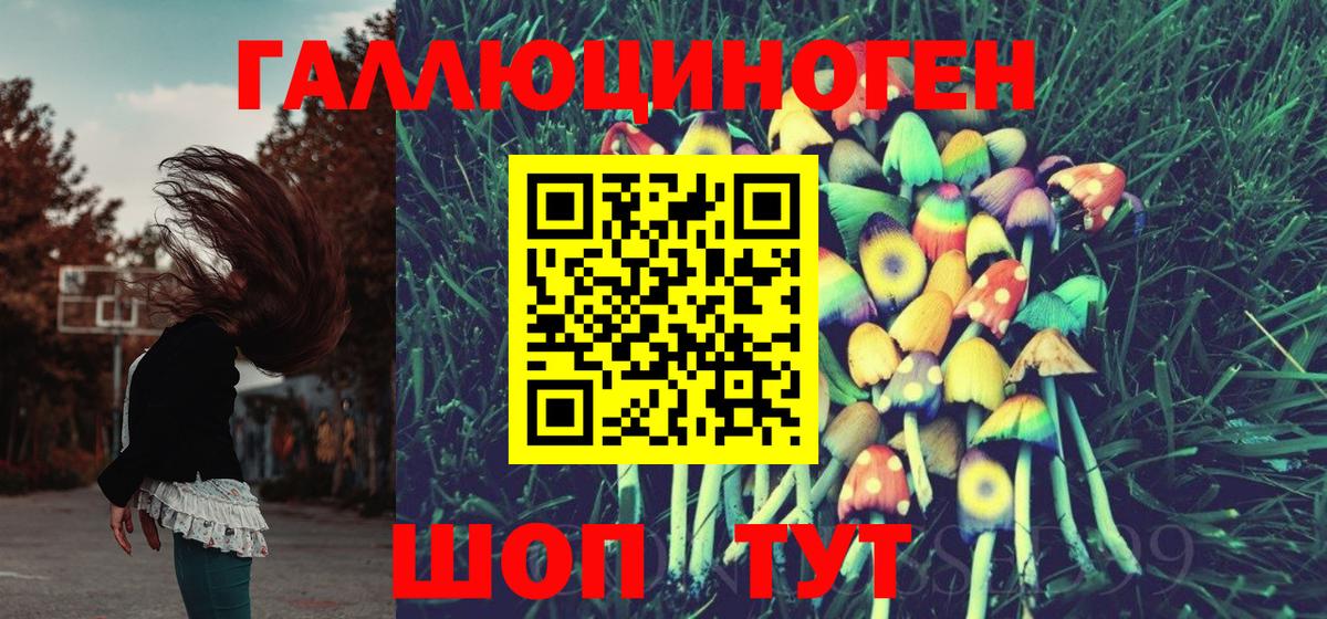 Галлюциногенные грибы мухоморы Североуральск